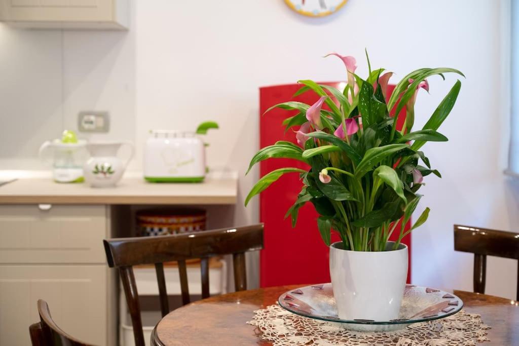 Casa Bouganville - St. Peter Romantic Apartment Buitenkant foto